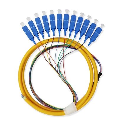 kupować 12 Core Single Mode SC Fiber Pigtail Cable for Networks Communication System Flexible produkcja internetowa