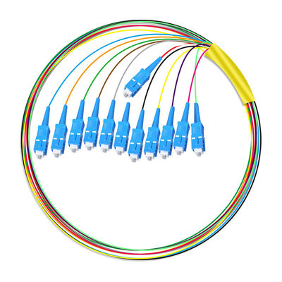 kupować HXCOWO 12 Core SC Bundle Tail Single Mode Telecom Grade Head And Tail Fiber Optic Pigtail produkcja internetowa